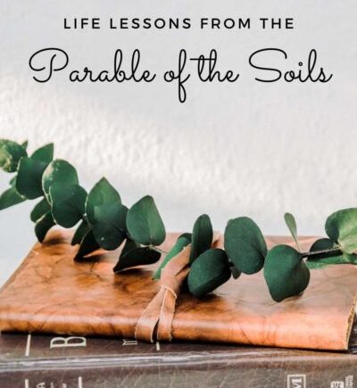 Lessons from the Parable of the Soils