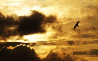 3 Quick Ways to Build Your Faith During a Storm