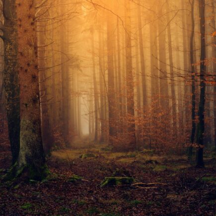 How my faith has changed over the years